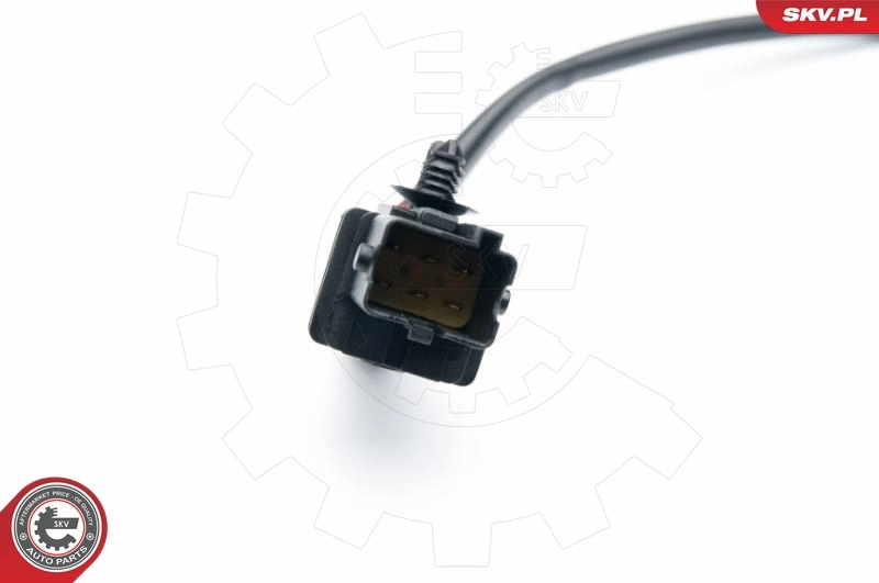 Oxygen Sensor